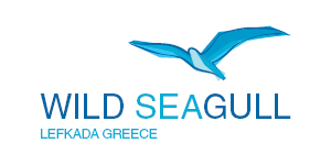 Logo Wildseagull